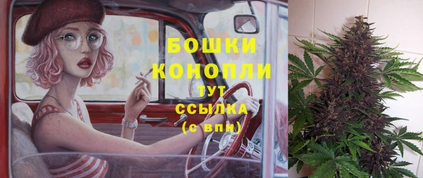 мяу мяу мука Новозыбков
