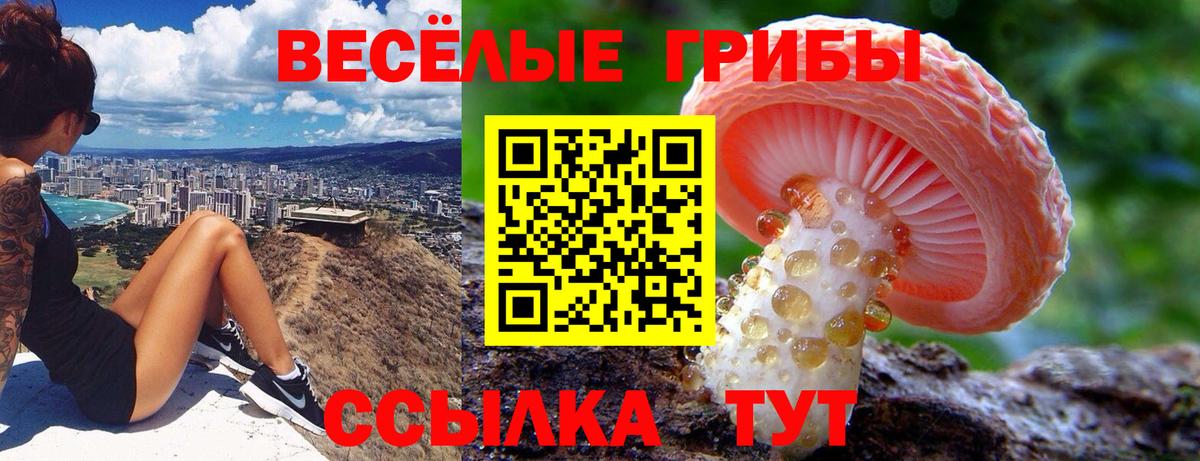 Псилоцибиновые грибы Psilocybe  Вход с VPN  Саки 