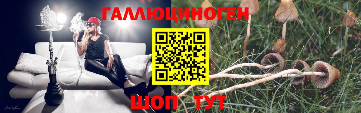 Псилоцибиновые грибы MAGIC MUSHROOMS  Саки 